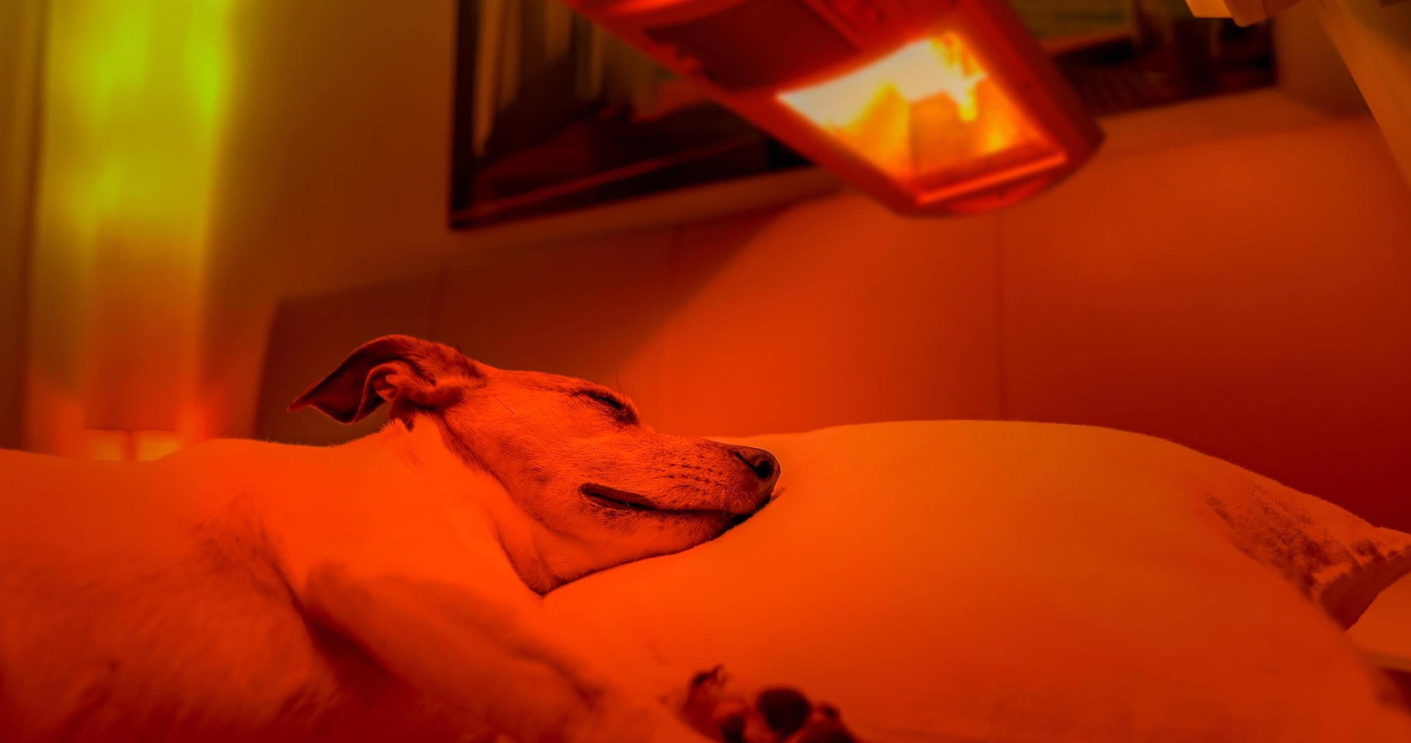 A Complete Guide to Red Light Therapy Facial - Laduora